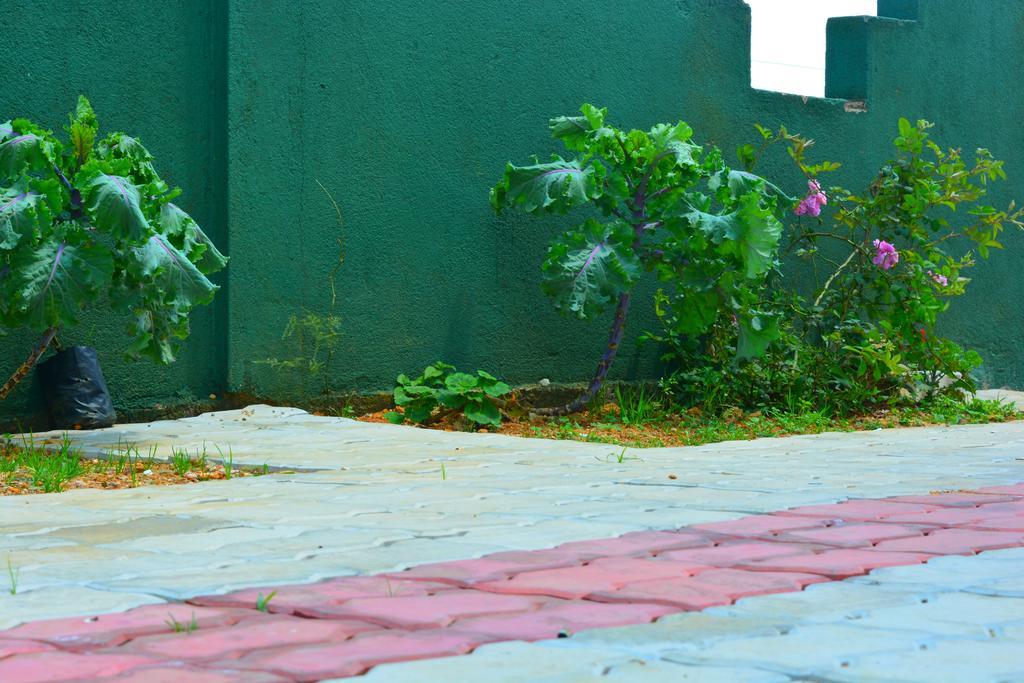 נוארה אליה Guest House Hill Paradise מראה חיצוני תמונה